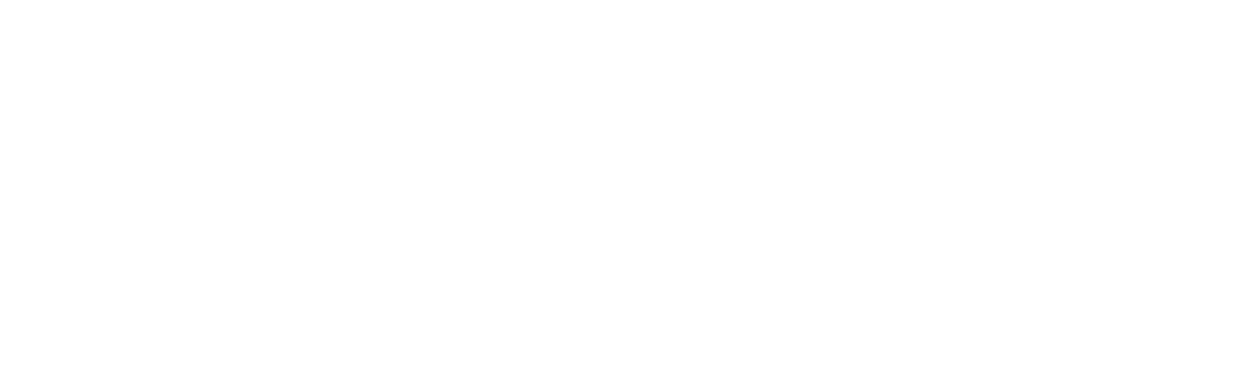 SANY logo blanco